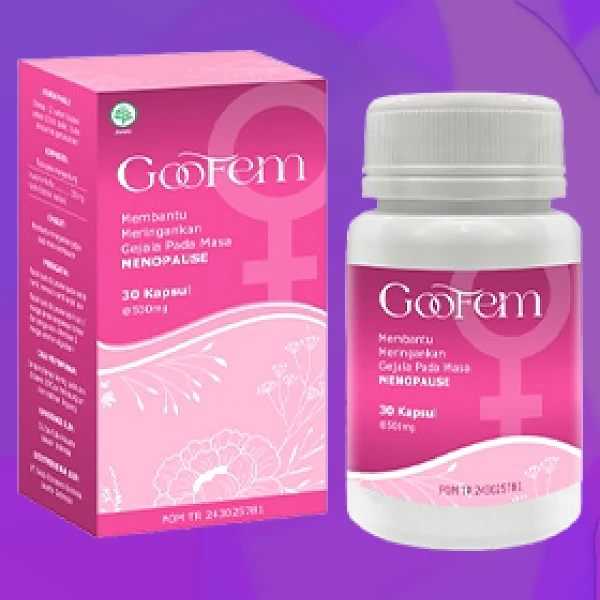 GOOFEM