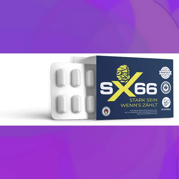 SX 66